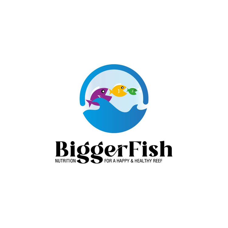 BiggerFish Foods