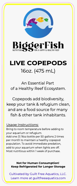 BiggerFish Live Copepods 16oz Bottle