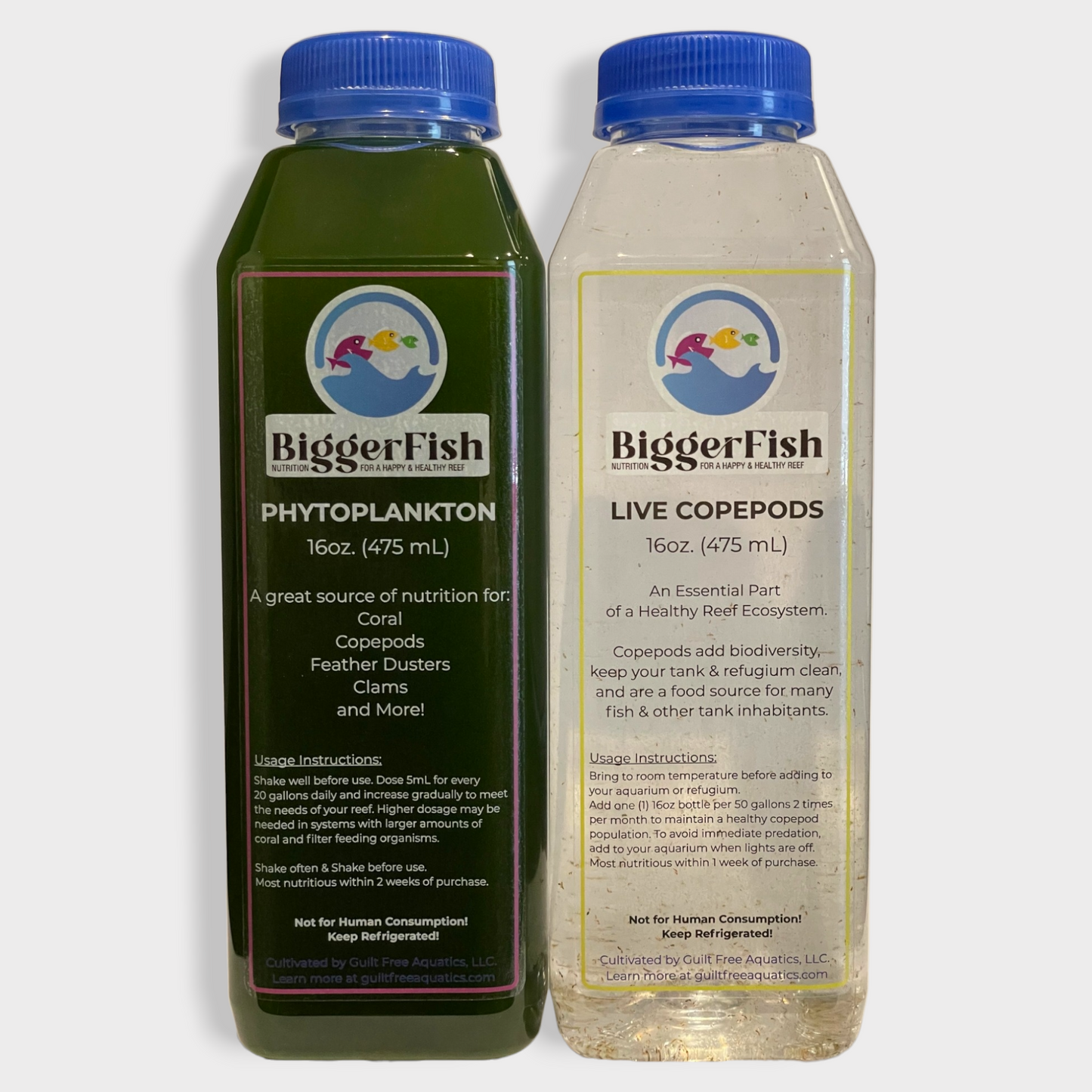 BiggerFish Live Copepods + Phytoplankton Combo Pack