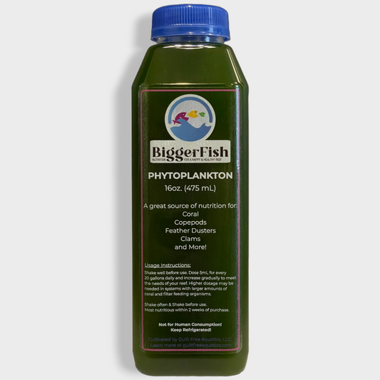 BiggerFish Phytoplankton 16oz Bottle