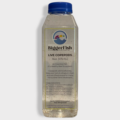 BiggerFish Live Copepods 16oz Bottle